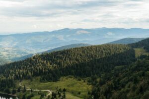 Sentier de trail dans les Vosges, idéal pour débuter